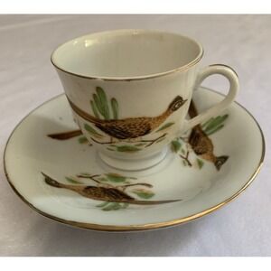 TEACUP AND SAUCER "ROAD RUNNER"  PORCELAIN
